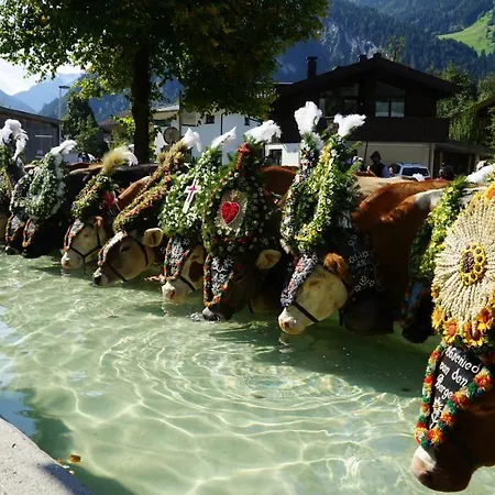 Windschnur By Piaunddirk Apartament